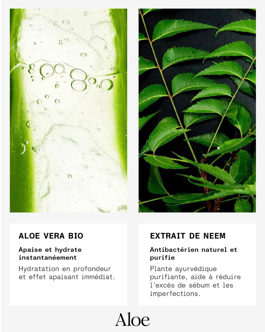 Mousse Nettoyante - Offert