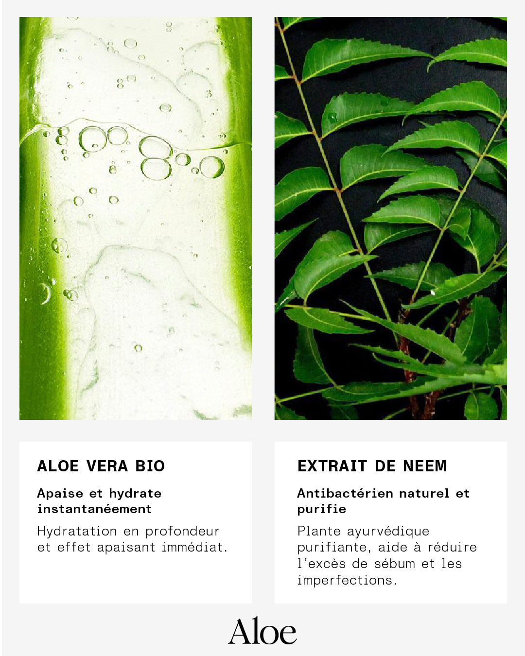 Mousse Nettoyante - Offert